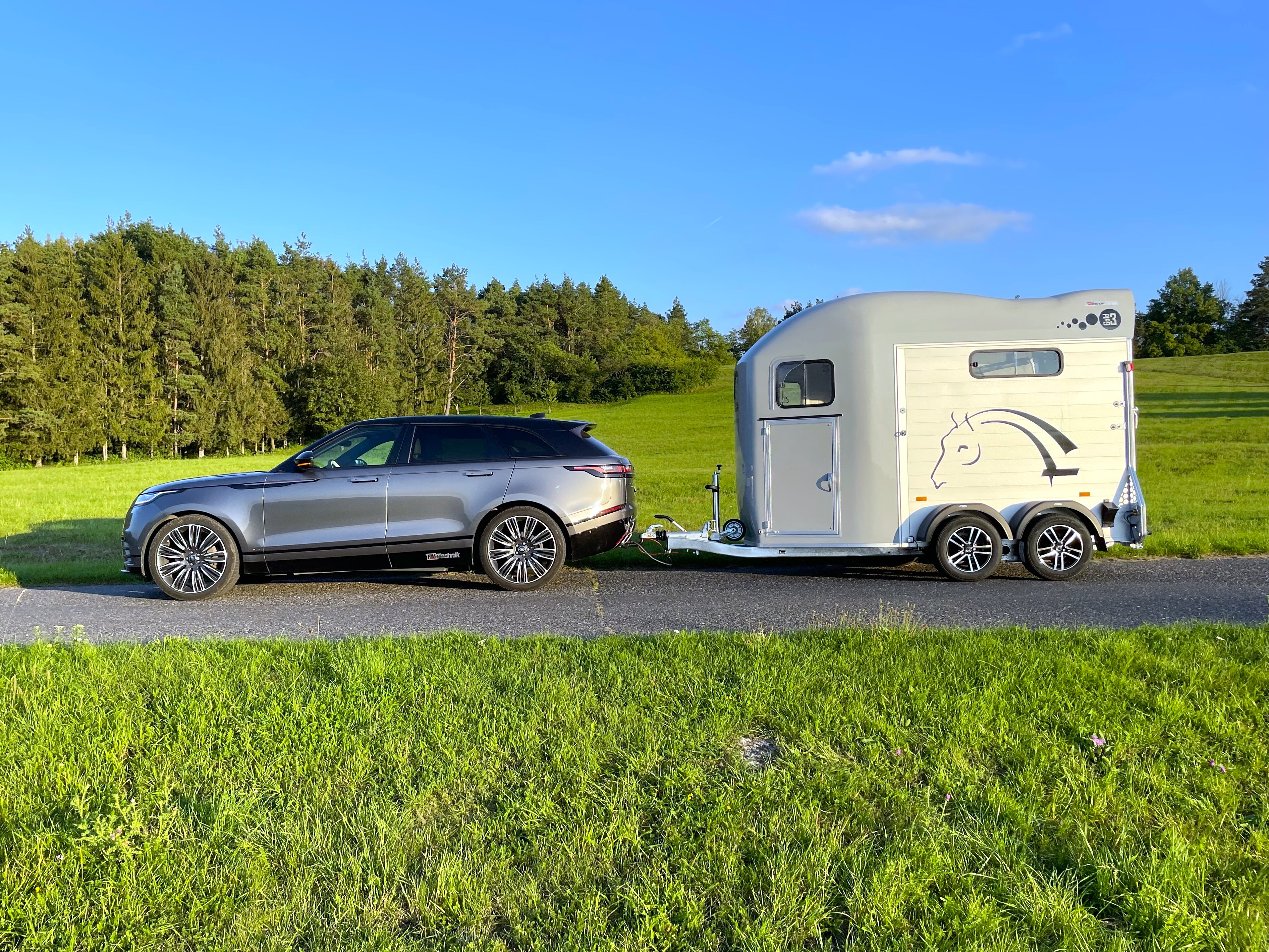 Cheval Liberté Gold 3 grau